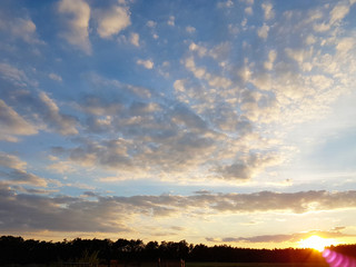 Wolkenspiel über dem Wald