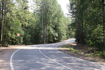 Fototapeta na wymiar sunny day winding empty road in the green forest