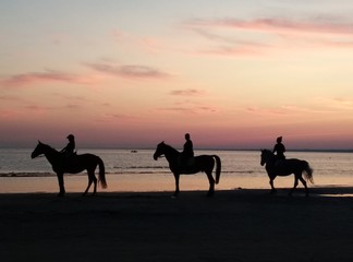 Fototapeta na wymiar horse riding on the beach