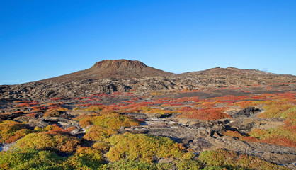 Isla Santiago landscape, Galapagos, Ecuador