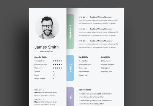 Resume Layout with Colorful Labels