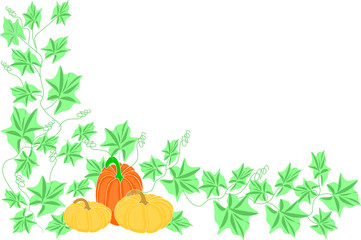 autumn pumpkins illustration for postcard