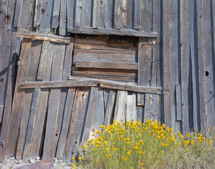 Boarded-up window on weathered, broken-down wall of old building in Bodie, Californis ghost town.