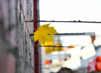 construction brick concrete building worker