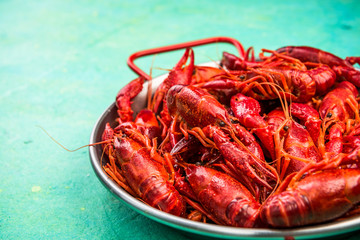 Close up View at Red Crayfish Dish,Copy Space
