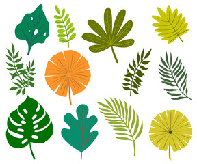 set of leaves. vector elements, abstract leaves, leaves of tropical plants decorative isolated on white background