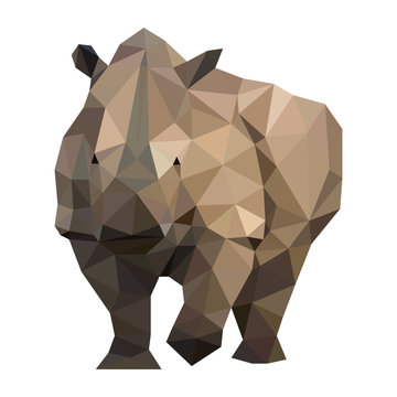 Low poly wild vector rhino artwork