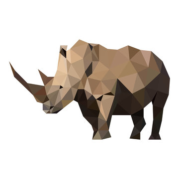 Polygons vector lines wild rhino
