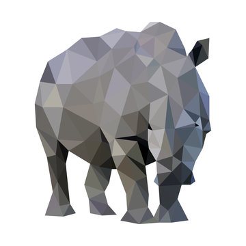 Low poly wild vector rhino art