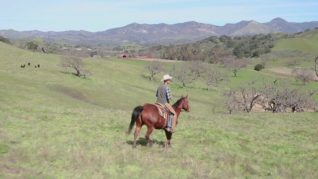 nearing the bottom, the cowboy guides his horse through the hills to finish the ride