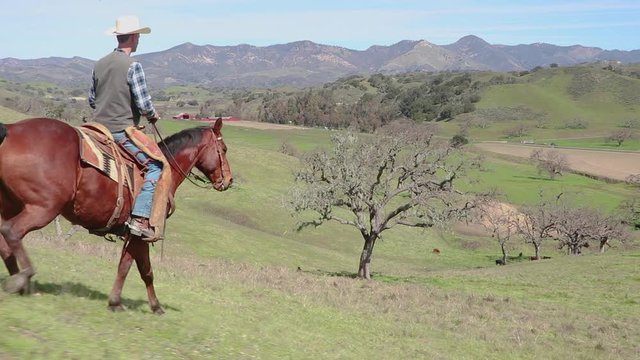 Walking down a steap hill, the camera follows the horse and cowboy in a full shot