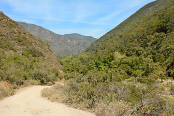 Trail through Holy Jim Canyon, Cleveland National Forest, California. The 8 mile trail leads to Bear Springs, and Santiago Peak.