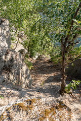 Tree branches against the background of blurred quarry with blue water, rocky shore and green trees on a sunny summer day. Vertical