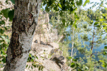 Trunk of a tree against the background of blurred quarry with blue water, rocky shore and trees on a sunny summer day