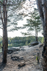 Picturesque landscape at the foot of a quarry on a summer sunny day. View of the blue sky through the gap between the trees. Vertical 