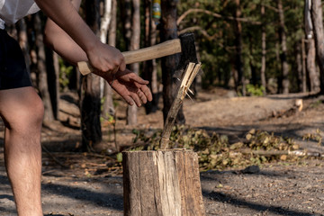 A man is chopping firewood in a forest on a summer sunny day. Travel and camping