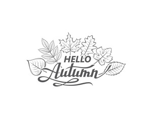 hello autumn lettering label with woody leaves isolated on white background