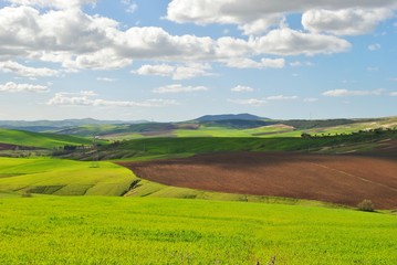 Obraz premium Campagne algerienne