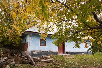 shabby and worn old country house with walnut tree in desolate yard, cloudy autumn day, green ecological tourism