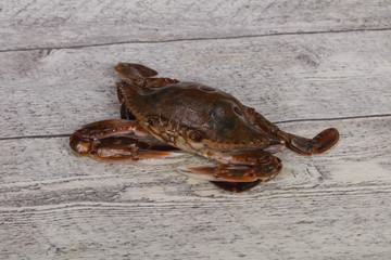 Raw crab - ready for cooking