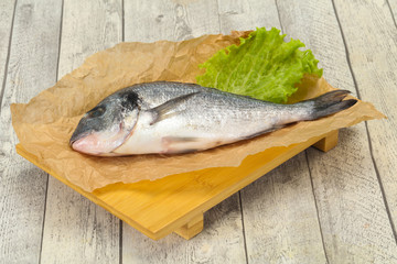Raw Dorada fish  for cooking