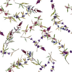 Purple lavender floral botanical flowers. Watercolor background illustration set. Seamless background pattern.