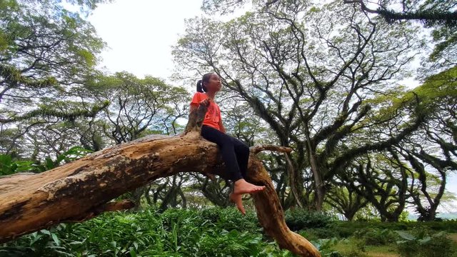 Happy little girl sitting on the tree branch while enjoying holiday in De Djawatan forest, Banyuwangi, East Java, Indonesia. Shot in 4k resolution