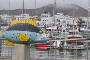 Fuerteventura Canary Islands
