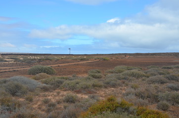 Fuerteventura Canary Islands
