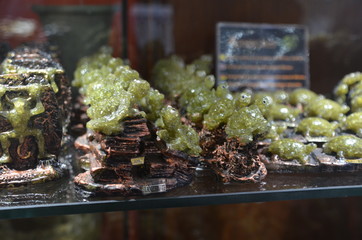 Fuerteventura Canary Islands