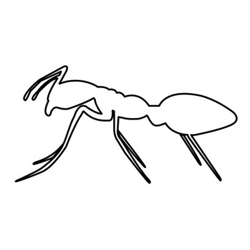 Ant line icon, logo isolated on white background
