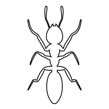 Ant line icon, logo isolated on white background