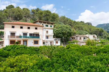 Fototapeta na wymiar Orange garden around a Country house in Mallorca