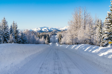 Ice Road Lofoten