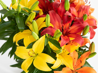 Overhead view of three different colored asian lilies