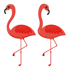 Naklejka premium zestaw różowych flamingów na białym tle. ilustracji wektorowych.