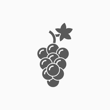 grape icon, fruit vector