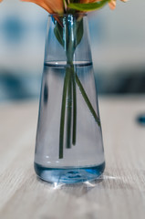 glass vase with flower stem