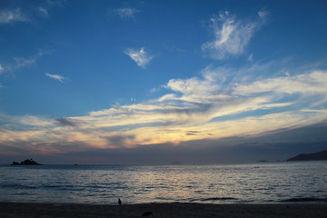 Naklejka premium Guaecá