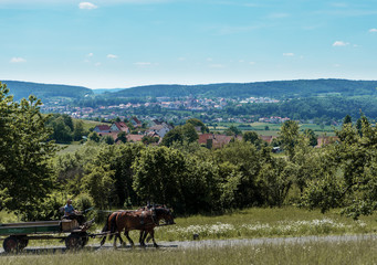 der weg