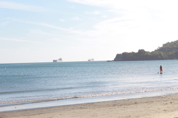 Fototapeta premium Guaecá