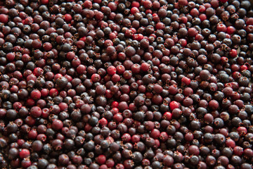 Background or texture of freshly picked wild saskatoon berries