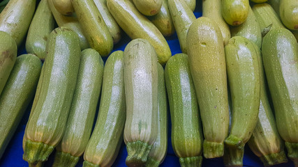 fresh long and green pumpkin at the vegetable store stand