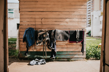 Horse tack for drying