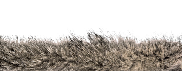 Fluffy fox fur on isolated white background
