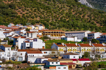 Cortes de la Frontera, Malaga Province, Andalusia, Spain, Western Europe.
