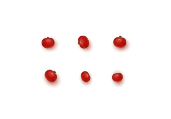 Berries of cranberry isolated on white background