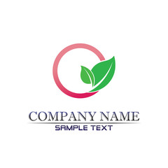 Tree leaf vector logo design, eco-friendly concept.