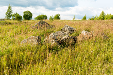 boulders in the grass, a valley with dry grass and large stones, sunny summer day, blue sky with clouds