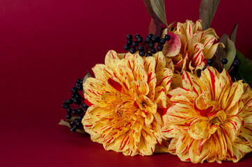 Bright yellow dahlias on a notebook against purple background. Autumn, fall romantic concept.